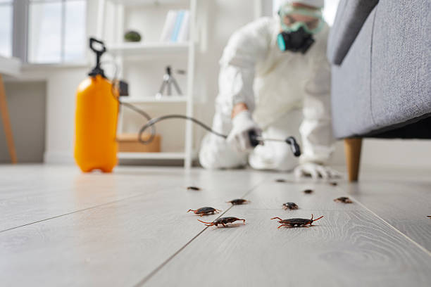 Commercial Kitchen Cockroach Control in Wildwood